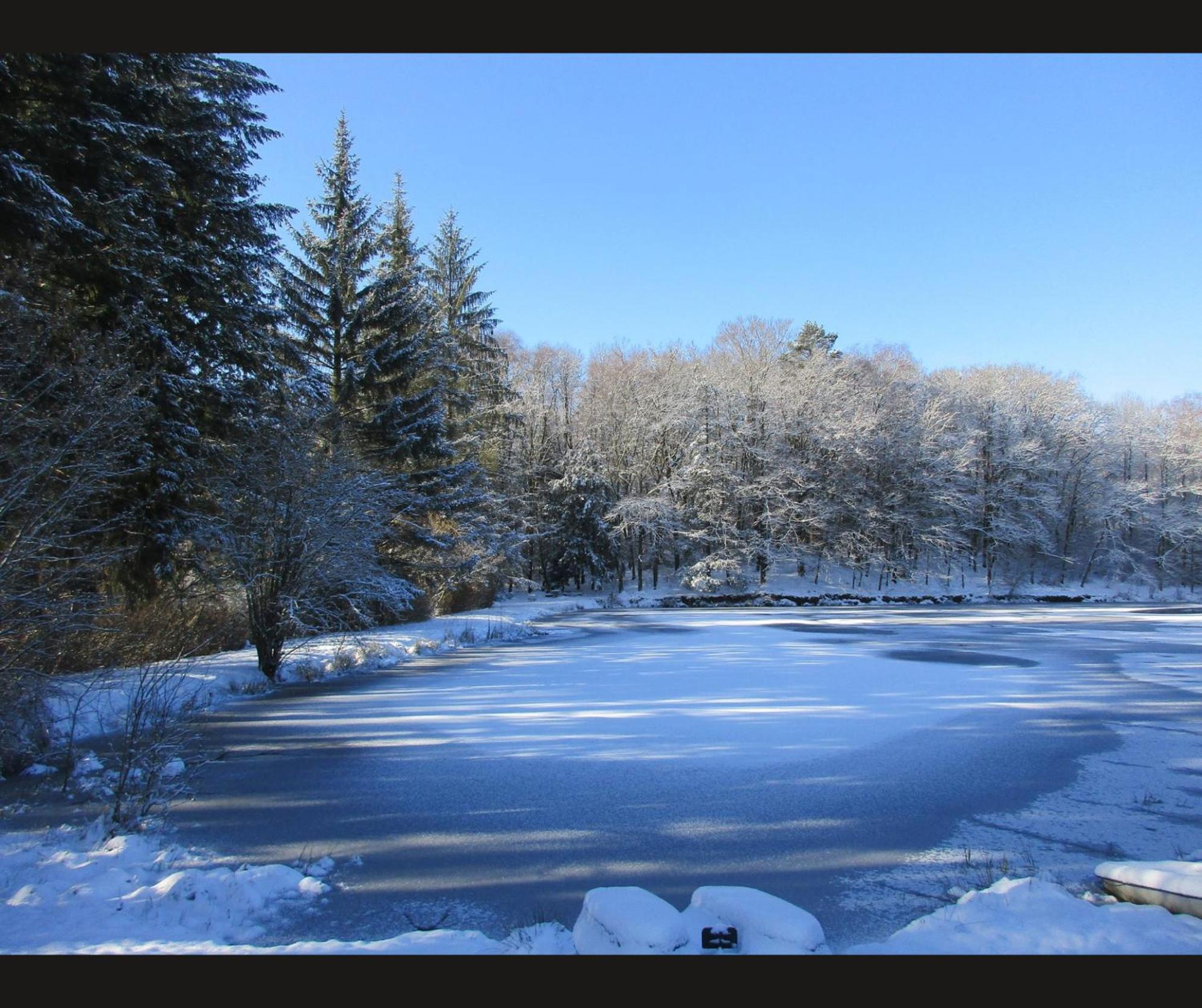 Cabane Limousine Au Bord D'Un Etang Bonnac-la-Côte Exterior foto